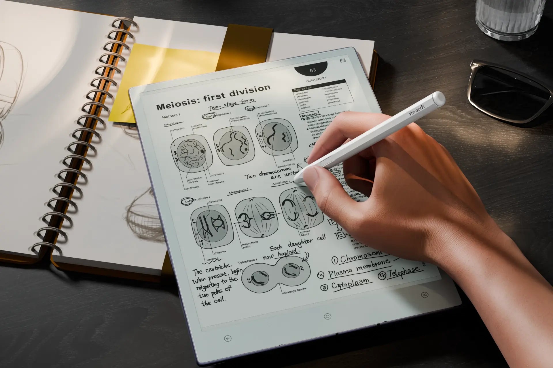 How to Annotate a PDF with Viwoods