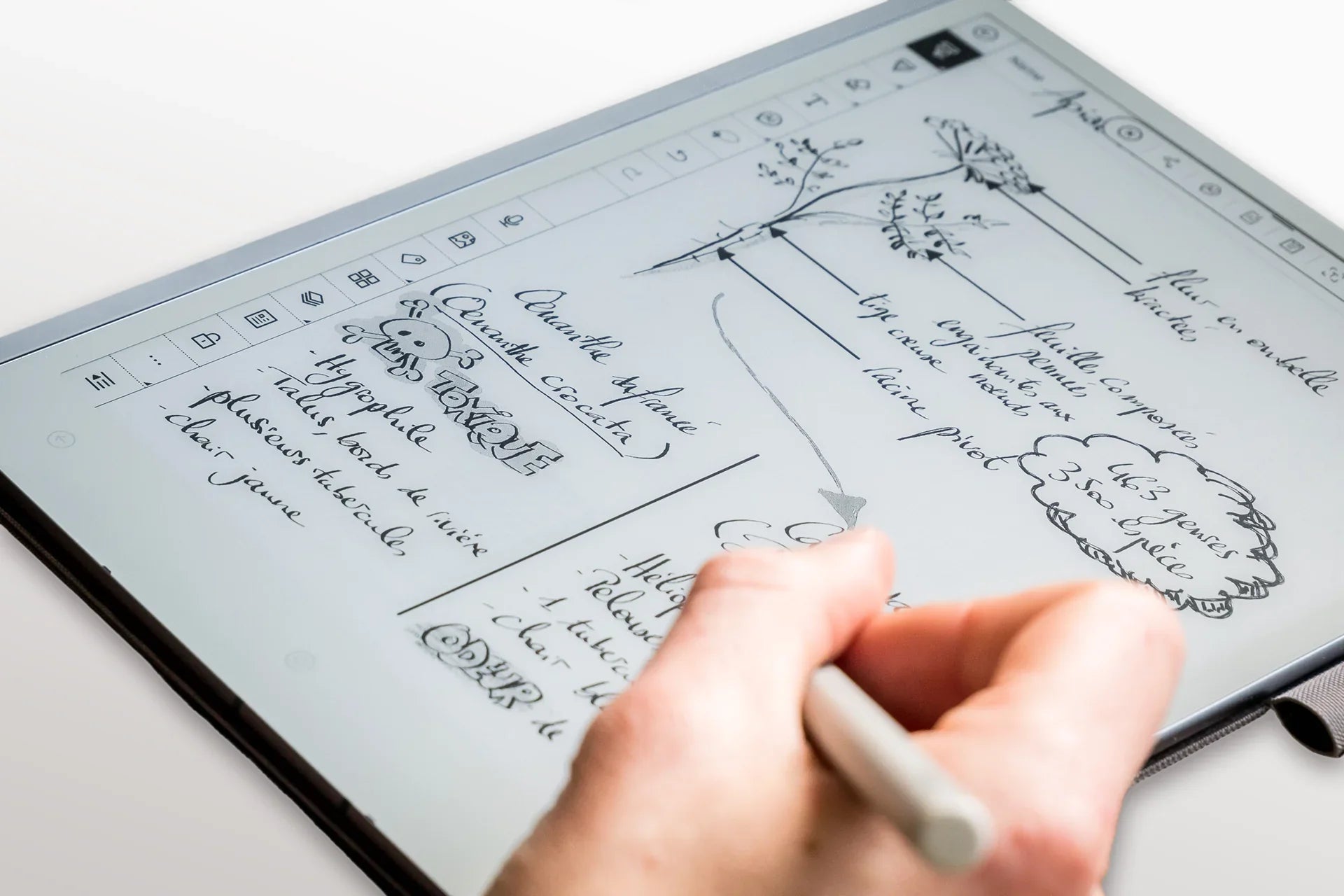 What is the Best reMarkable Alternative in 2026?