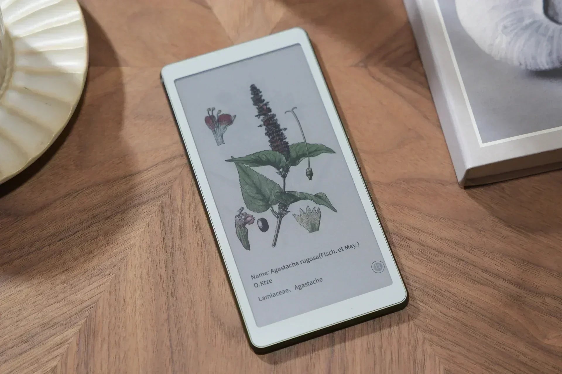 AiPaper Reader Color eReader